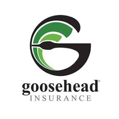 goosehead ins